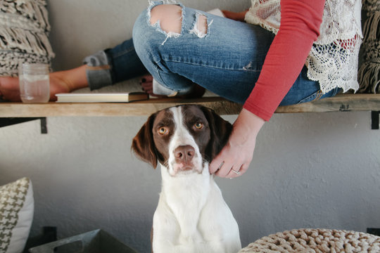 woman reaches down to pet dog while she sits leisurely on bench reading