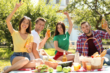 Young people enjoying picnic in park on summer day