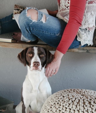 woman sitting on bench reaches down to pet dog