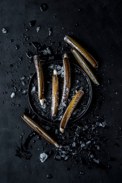 Fresh Razor shells - Navajas frescas