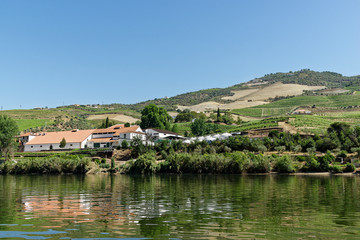Fototapeta premium eine Portwein-Kellerei am Douro, Nähe Pinhao, Portugal