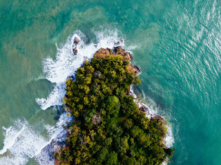Aerial shot of the palm trees along a tropical coast line with waves cashing the shoreline.