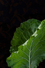 CCabbage leaves, light green, dark green. Close view. Greenery used in the kitchen. Dark background. Vertical. Still life.