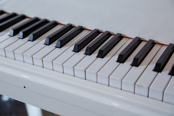 grand piano keyboard with glossy black and white keys as a music background in wide panoramic banner format, selected focus, narrow depth of field