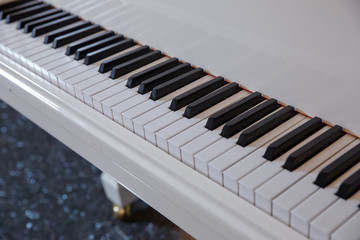 grand piano keyboard with glossy black and white keys as a music background in wide panoramic banner format, selected focus, narrow depth of field