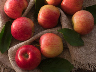 Apples of red and pink color   on a canvas on the   table, close up, from above