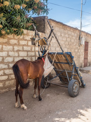 Cart with the horse, Senegal