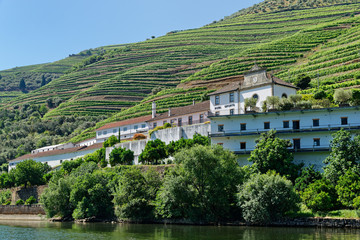 Fototapeta na wymiar eine Portwein-Kellerei am Douro, Nähe Pinhao, Portugal