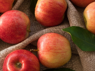 Apples of red and pink color   on a canvas on the   table, close up, from above