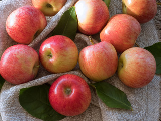 Apples of red and pink color with cinnamon sticks on a canvas on the blue wooden table, close up, from above