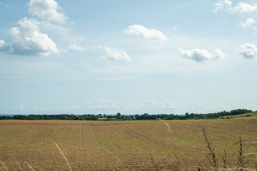 Obraz premium Landscape - view over a field in Österlen, Sweden in the summertime.