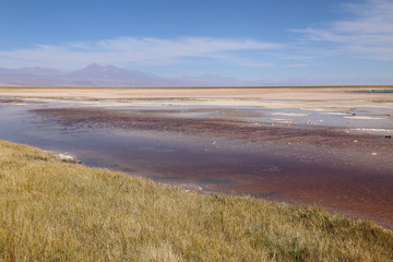 A lake with calm waters in the middle of Bolivia desert. Horizon with sand and mountains under the blue sky. n