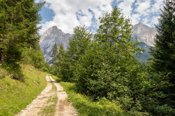 Fototapeta na wymiar Panoramic mountain road / path in Italian Alps in middle of august