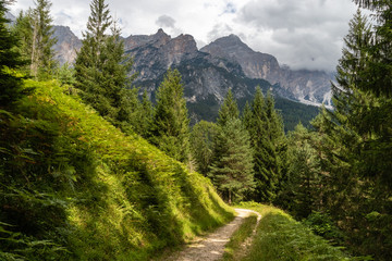 Panoramic mountain road / path in Italian Alps in middle of august