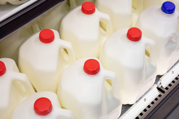 Several gallon jugs of milk at the grocery store