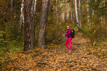 woman trekking in the autumn forest