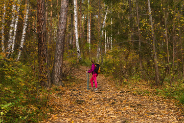 woman trekking in the autumn forest