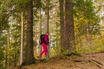woman trekking in the autumn forest