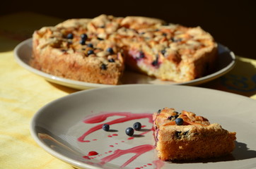  a piece of cake on a plate homemade charlotte pie with apples and berries 