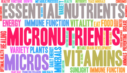 Micronutrients Word Cloud on a white background. 