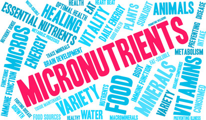 Fototapeta premium Micronutrients Word Cloud on a white background. 