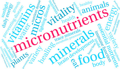 Micronutrients Word Cloud on a white background. 