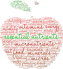 Essential Nutrients Word Cloud on a white background. 