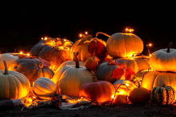 Many Halloween Pumpkins on grass with lights in a park at night