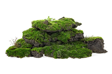 Green moss with grass isolated on white background. Mossy hill.