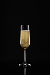 full champagne glass on black background