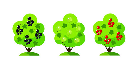 A set of garden bushes, flat design. Black currant bush, red currant bush and bush of gooseberry. Vector EPS10