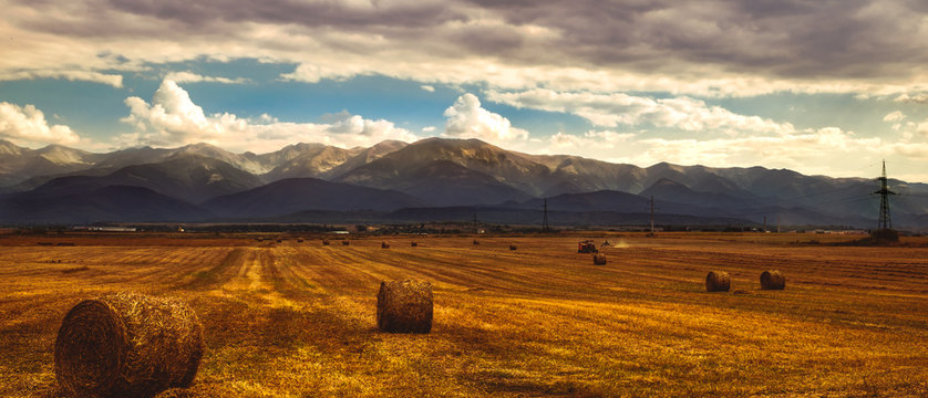 agricultural field at the foot of the mountains