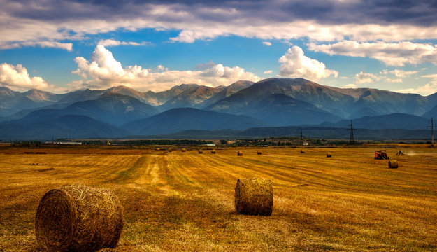 agricultural field at the foot of the mountains