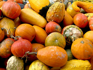 pumpkins