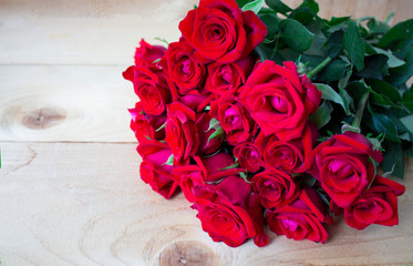 Beautiful rose flower in garden. Rose flower background. Roses flower texture. Lovely rose. Roses...