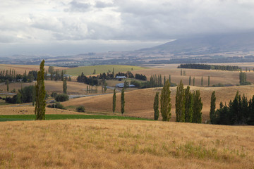 Scenic road in Canterbury area, New Zealand