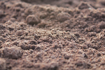 Soil in the garden. Close-up. Background. Texture.