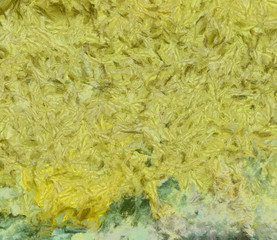 Abstract background in mixed colors. Oil and watercolor design elements. Design template for covers, posters and banners. Simple macro close-up paint brush strokes.