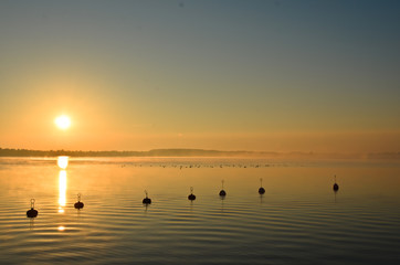 Some buoys in calm water in golden evening light.