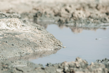 Mud with salt in pink salt lake