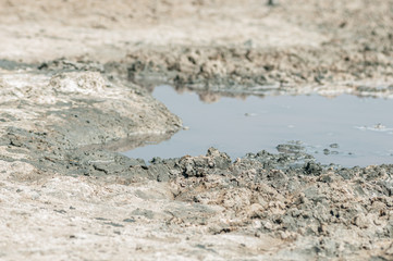 Mud with salt in pink salt lake
