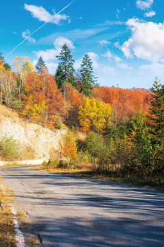 country road through forest in mountains. beautiful transportation autumn scenery in the morning. trees in colorful foliage. old cracked asphalt surface in the shade needs repair