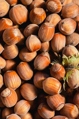 hazelnuts nuts background close-up with selective focus