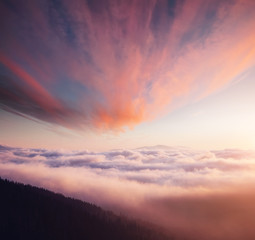 Scenic image of misty valley. Locations Carpathian national park, Ukraine.