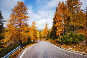 Stunning image of the alpine road. Location place National Park Tre Cime di Lavaredo.