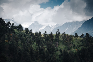 Alpine meadows near Mt Ushba. Location Upper Svaneti, Georgia, Europe. Main Caucasian ridge.