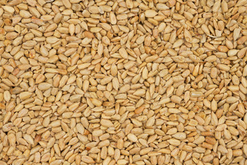 Healthy salted sunflower seeds background