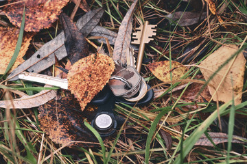 Lost the keys on the grass. A bunch of keys lying in autumn leaves