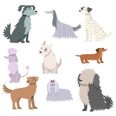 Dogs set. Raster illustration in flat cartoon style