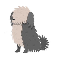 Bobtail dog. Raster illustration in flat cartoon style